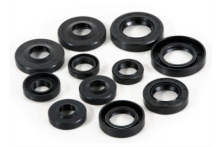 GA Type Oil Seal