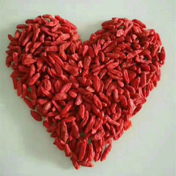 Dried GOJI BERRIES Wolfberries EXCLUSIVE