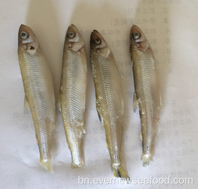 পরিষ্কার পুরো পুকুর গন্ধ মাছ iqf হিমায়িত সীফুড