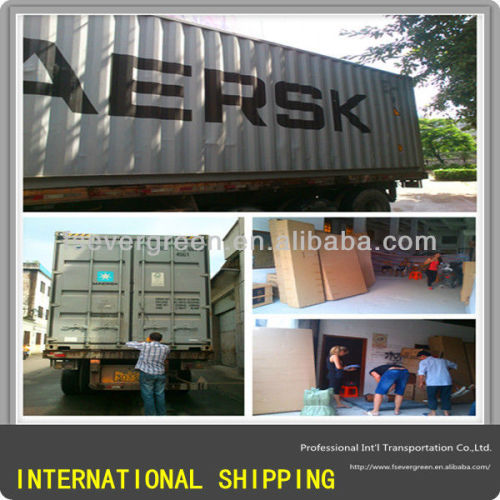 China freight forwarders/ocean freight/sea freight to Philippines