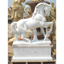 Stein Marmor Pferd Tier Skulptur für Garten Statue (SY-B158)