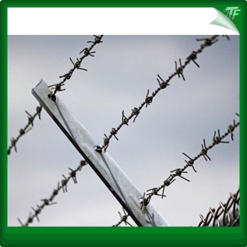 Galvanized straight line razor wire