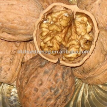 Walnut kernel