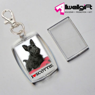 Made in China cheaper acrylic keychain/acrylic keyring/blank acrylic keychain for promotional gift