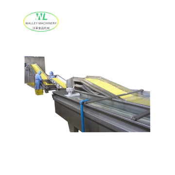 Customizing Industrial Continuous IQF Freezing Line for Peas and Broccoli