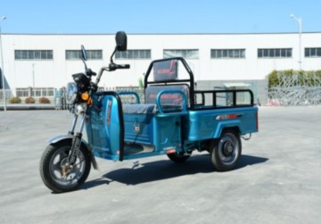 Hot-selling Flat Panel Electric Tricycle