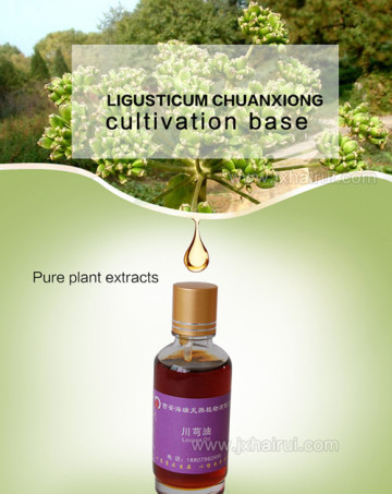 100% natural and organic Ligusticum oil