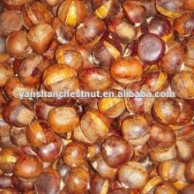 Frozen Smiling Ringent Roasted Chestnut