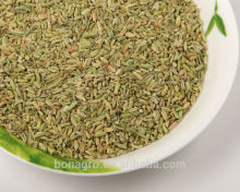 Fennel seeds