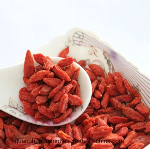 Dried Goji Berry From China