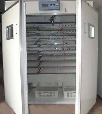 incubator for chicken eggs