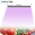 240w led élèvent la lumière pour les plantes d&#39;intérieur