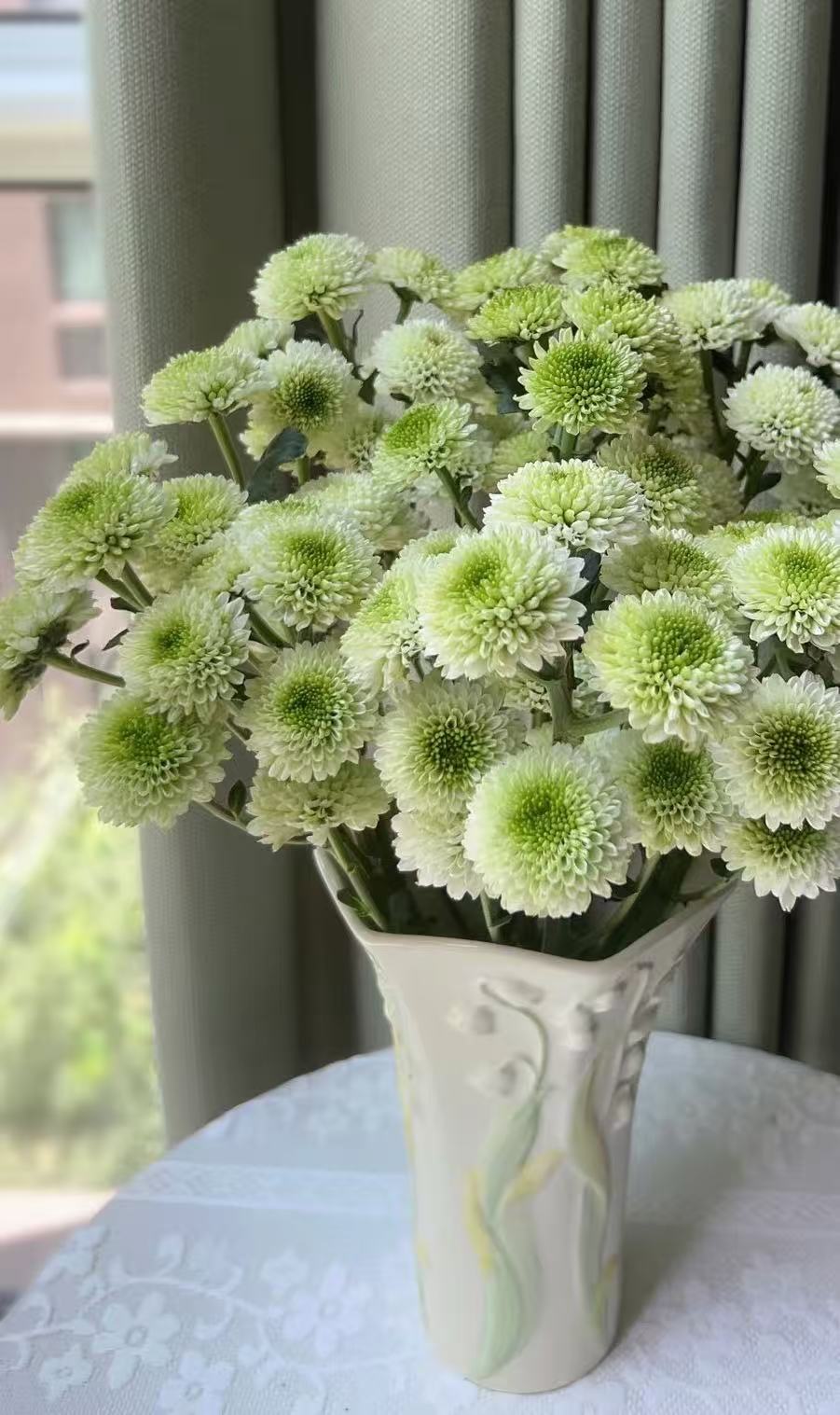 লণ্ঠন স্প্রে সাদা chrysanthemum Lantern spray white chrysanthemum