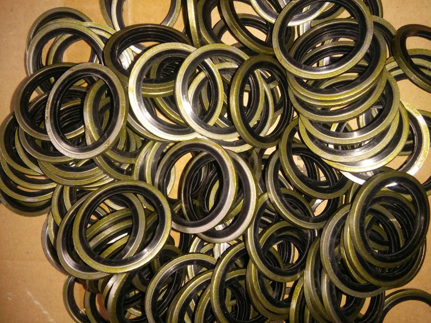 Bonded Seal Gasket