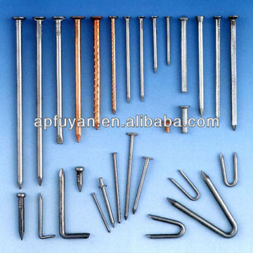 Common iron nail/Iron nail/common nail