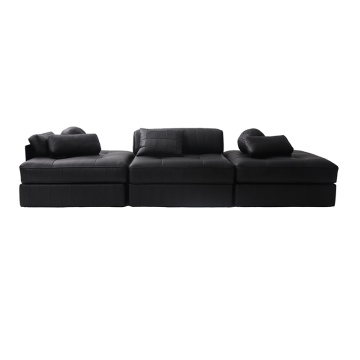 Moderni de sede ds-1088 odinė sofa