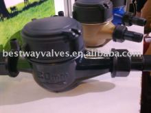 Plastic water meter body