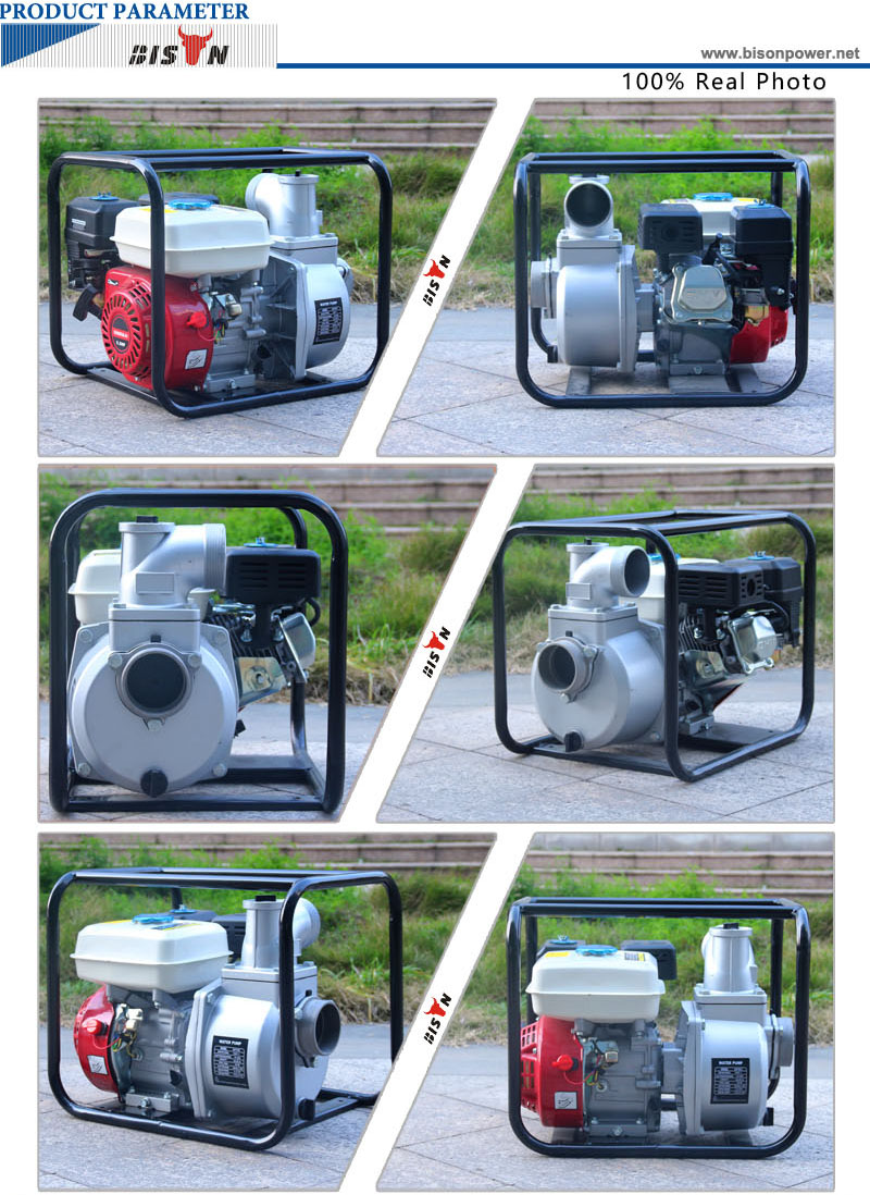 BISON China High Quality Small Agricultural Products Farming irrigation 3 inch Centrifugal Gasoline Water Pump