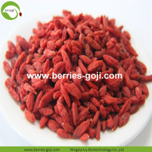 Factory Supply Fruits Nutrition Pack Goji Berry