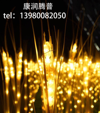 Customized LED  Wheat Lights