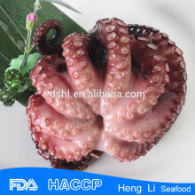 HL089 frozen octopus bqf vulgaris in poly bags