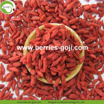 Good Quality Factory Supply Dried Zhongning Wolfberry