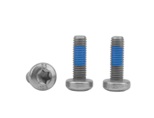 Hexalobular Socket Pan Head Screw