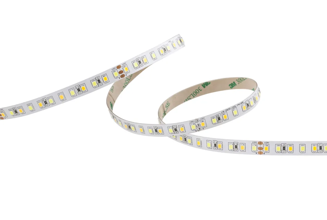 Top5 China Hot Sales SMD 2835 CCT Adjustable LED Strip Lights