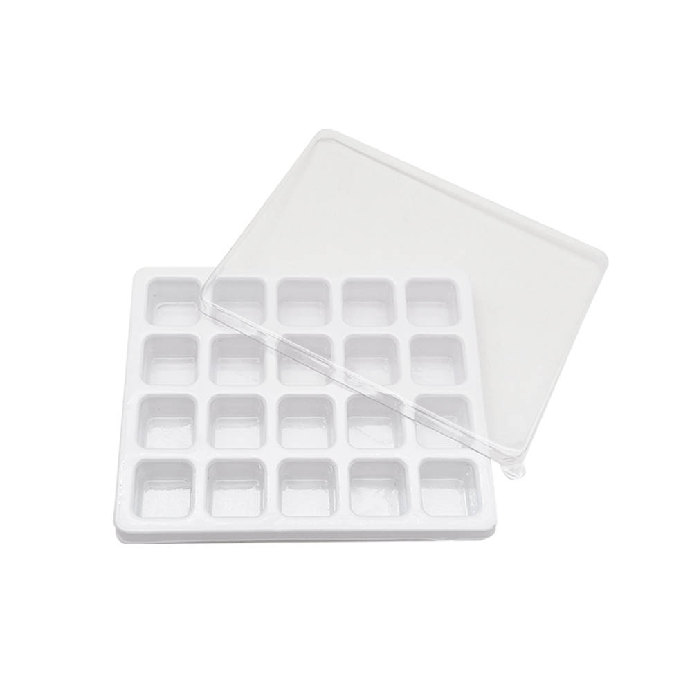 Blister Inner Tray