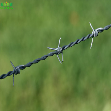 Cheap Galvanized Barbed Wire Fence