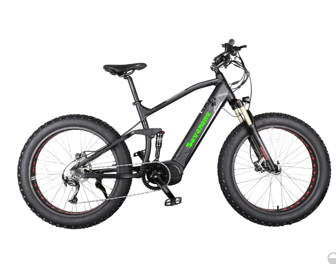 High Quality Fat Tire Full Suspension Snow Electric Bike with 350W Motor