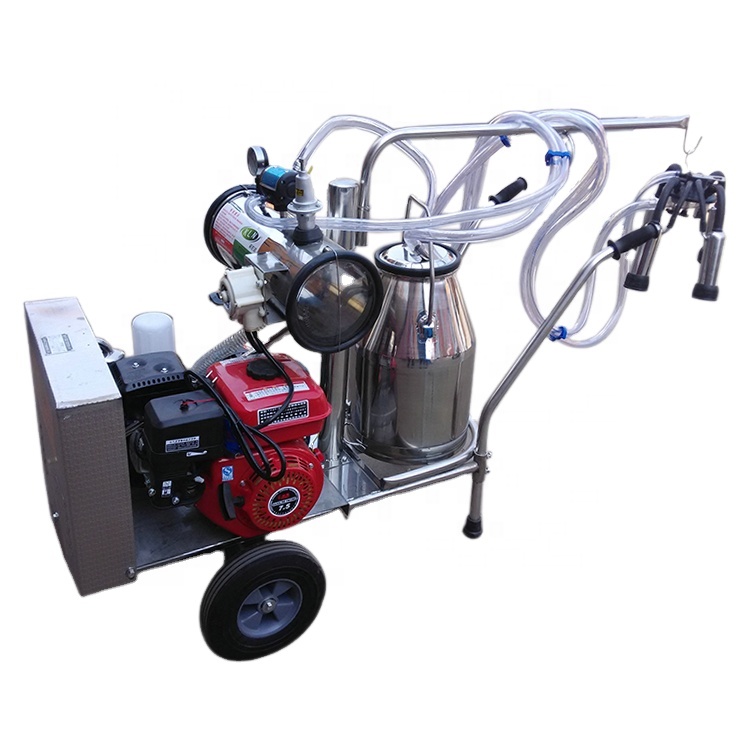 automatic fresh 10l home small 1000 liter milk pasteurizer machine