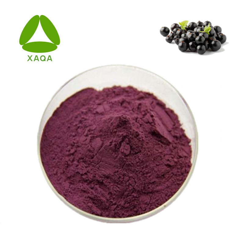 Extrakt aus schwarzer Johannisbeere black currant extract