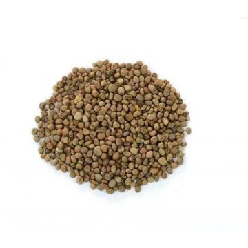 Perilla Leaf Seed