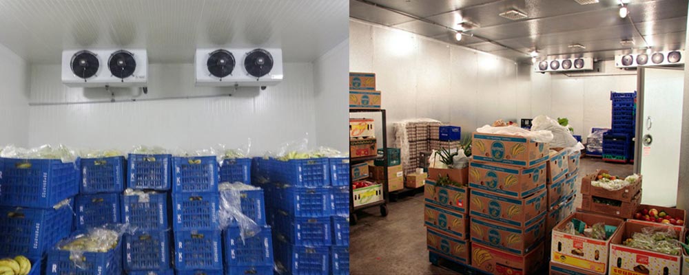 Cuarto frío de maduración del plátano Banana ripening cold room