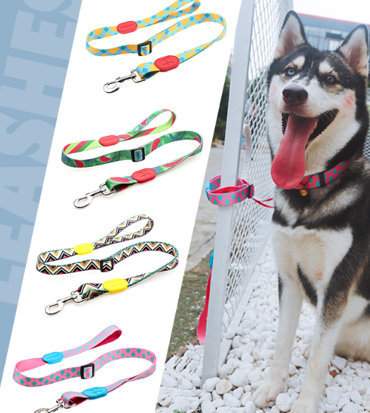 Cute Pet Leashes