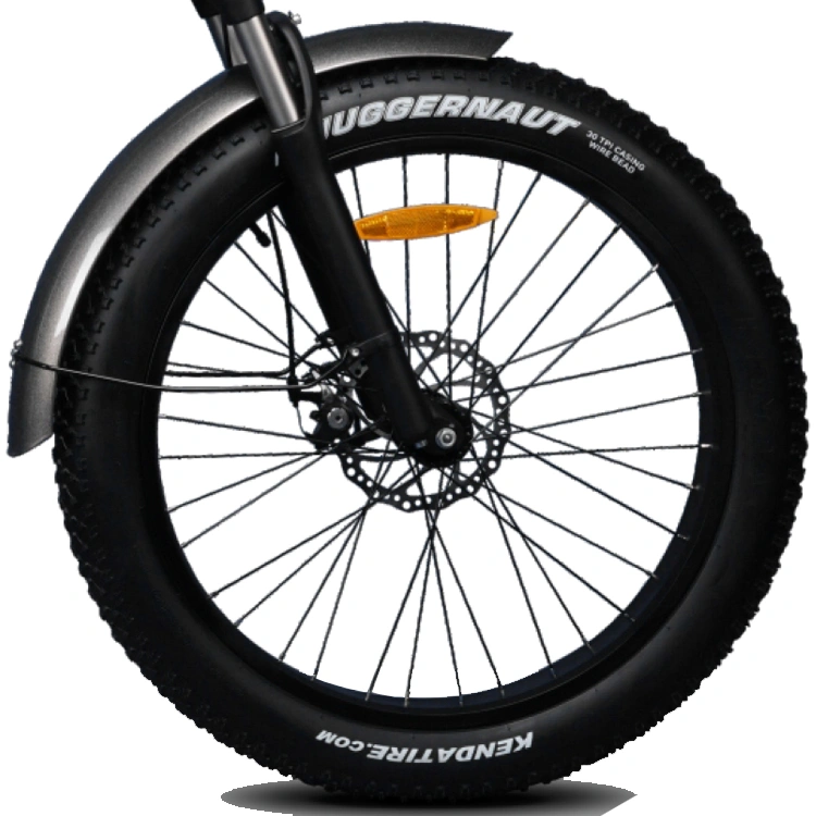 Hot Sale Powerful 1000W MID Drive Fat Tire E-Bike