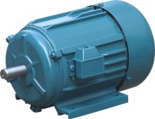 Resistance Start Single-Phase Electric Motor
