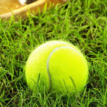 Curl Tennis หญ้าเทียม/มินิเทนนิสพัตต์กรีน