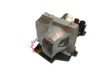 Bare Acer Projector Lamp With Housing Ec.j4301.001 To Education
