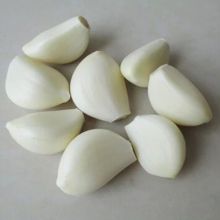 Chinese New Season Bulk Fresh Garlic for Export