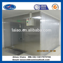 chicken blast freezer cold room