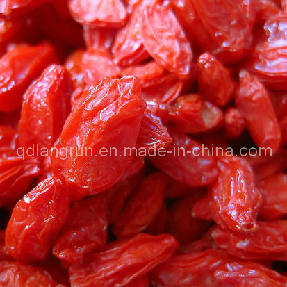 180/220/250/280/350/380/420/500/550/850 Per 50g Dried Raw Goji Berries