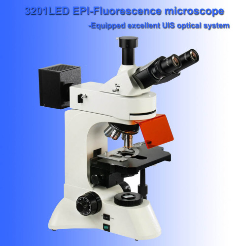 Epi-Fluorescent Microscope for LED (3201-LED)