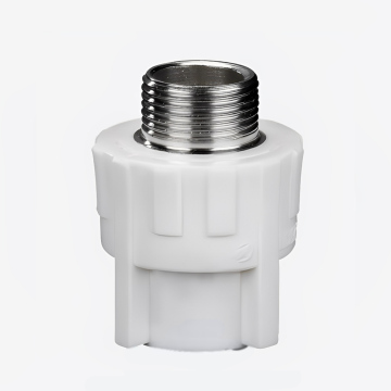 Stainless Steel PPR Male Thread Directly Fittings