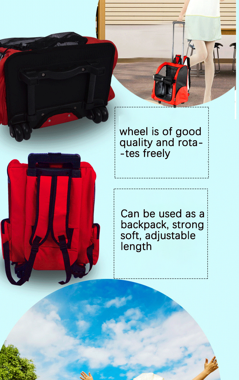 Pet Travel Carrier