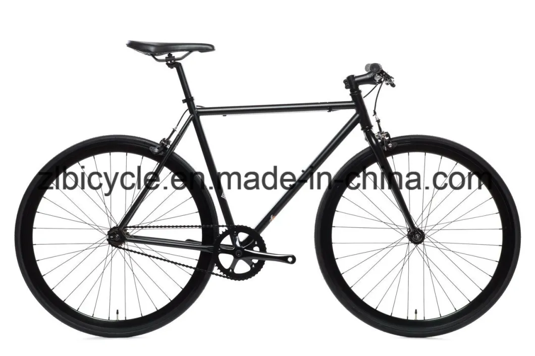 Urban Cyclist Hot Sale Single Fixie Gear Bicycles