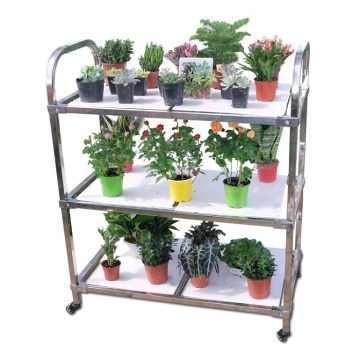 Greenhouse Transport Trolley Cart for Flower