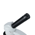 Monocular Inclined WF10X Biological Microscope