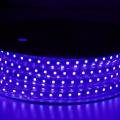 Tiras de luces LED flexibles SMD 5050 RGB